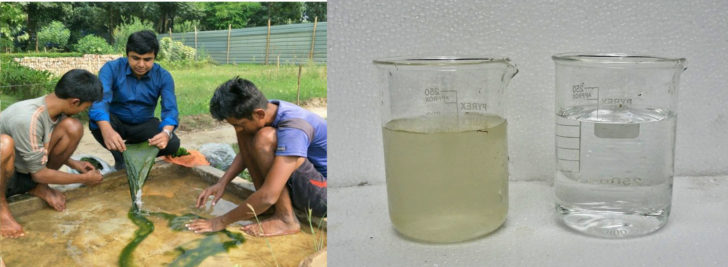 Vierde Gelukkig is dat Leia Algae-based water filter may save lives | Innovationsgesellschaft mbH